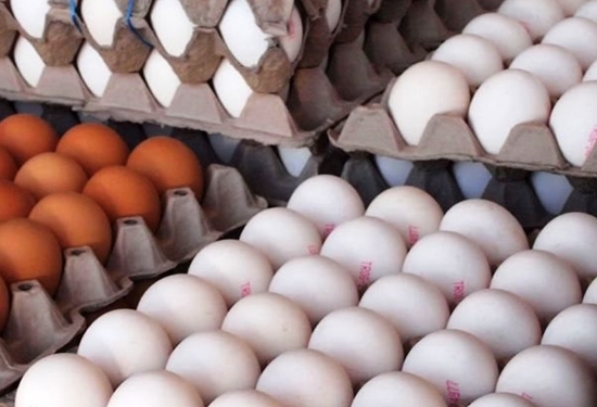 تاکید دامپزشکی مشهدبر خرید تخم مرغ ازمراکز مجازفروش