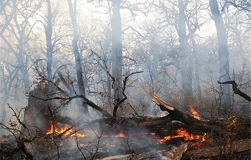 مهار آتش سوزی در کوه منگره اندیمشک