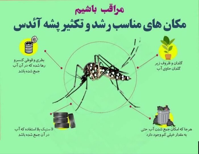 چطور از تکثیر پشه آئدس پیشگیری کنیم؟