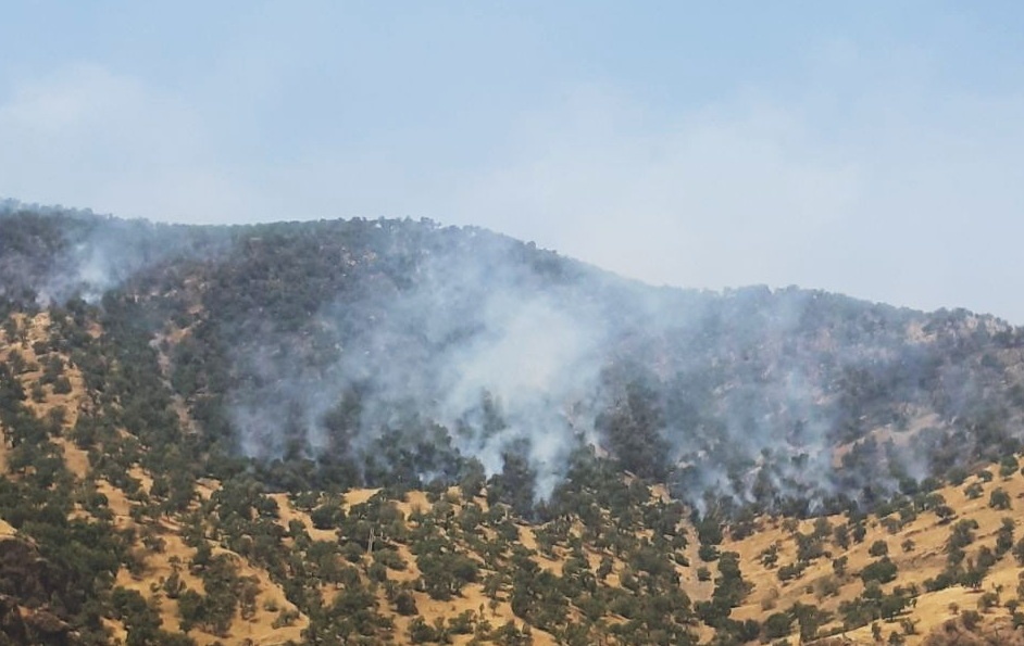 آتش سوزی در ارتفاعات دهستان چله شهرستان گیلانغرب