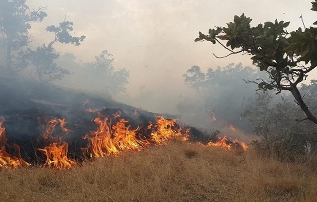 آتش به جان مزارع کشاورزی هاشم آباد دره شهر