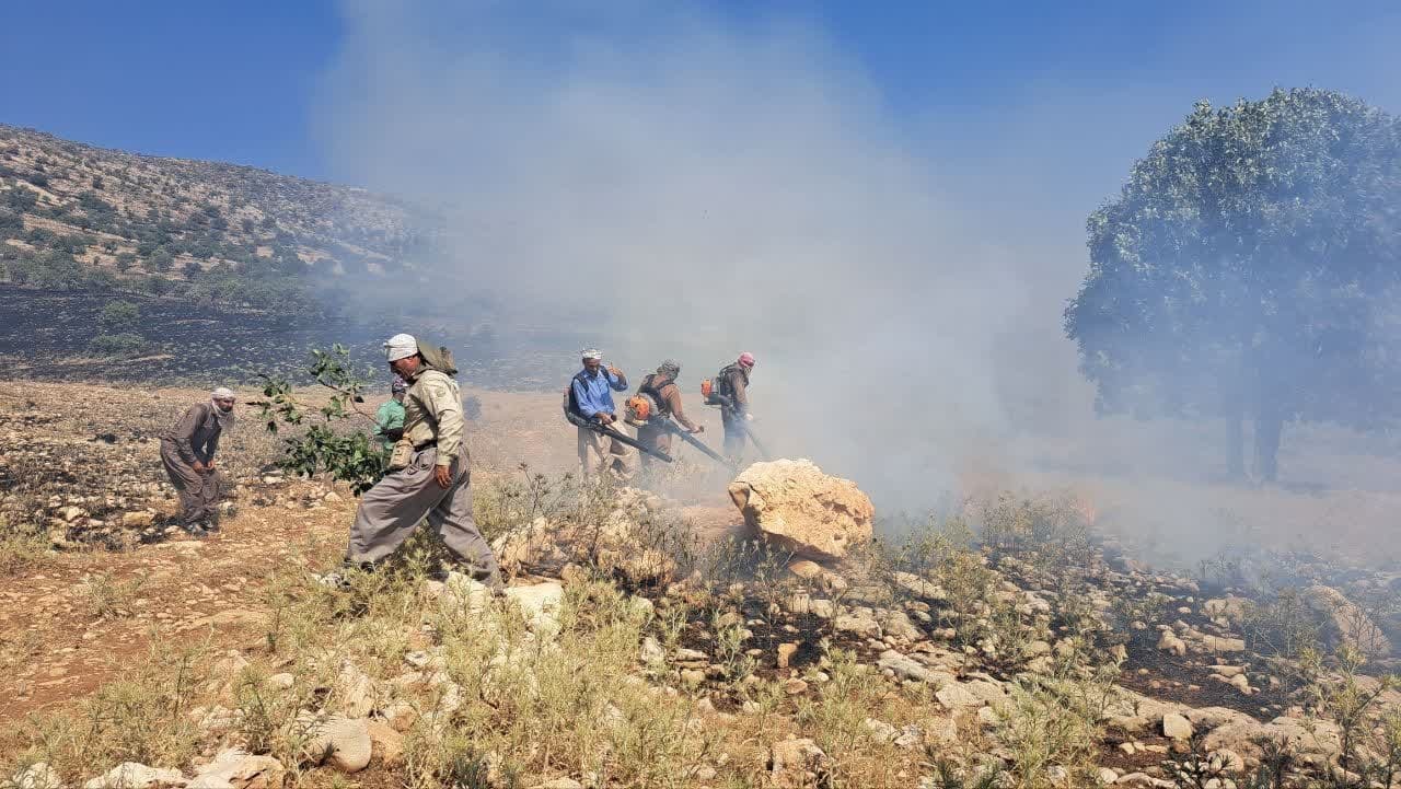 مهار آتش سوزی در جنگلهای گیلانغرب