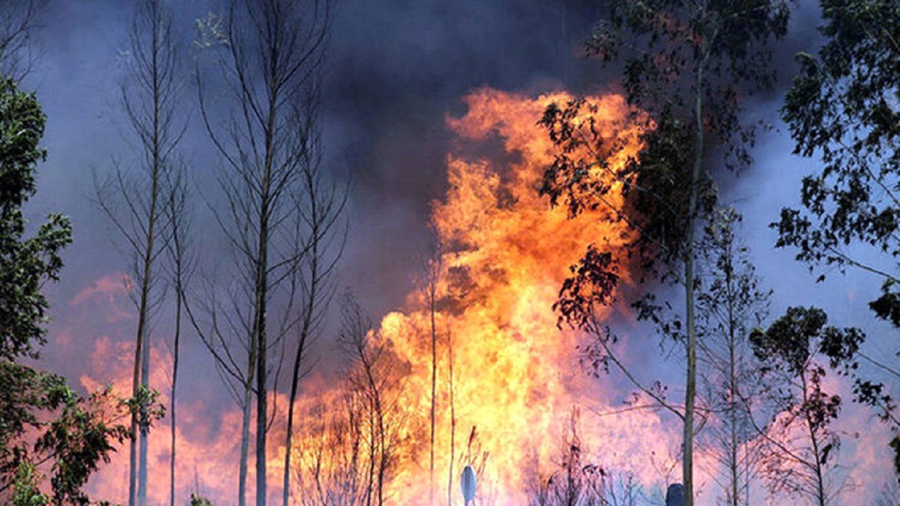 خسارت آتش به بیش از ۴۰۰ هکتار از جنگل‌های خاییز بهبهان