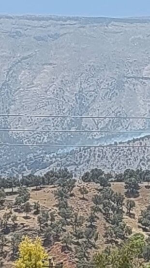 گسترش سریع و شدید آتش سوزی در کوه سیاه چاروسا