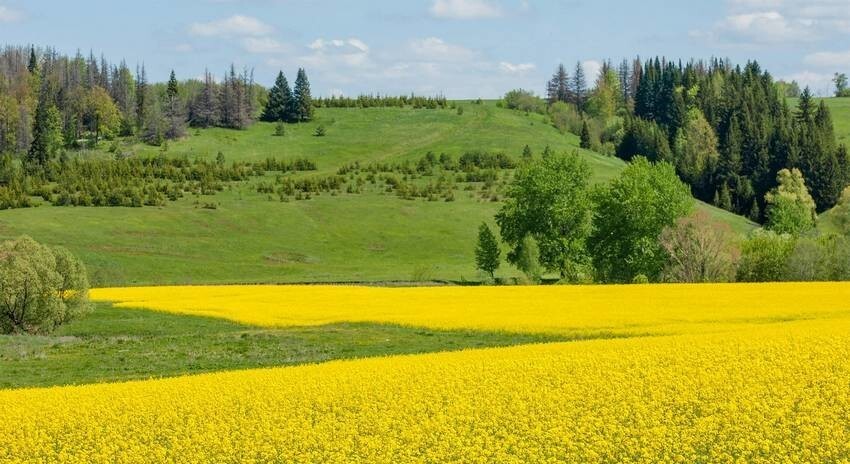 ماندگاری هوای گرم و مرطوب در گیلان