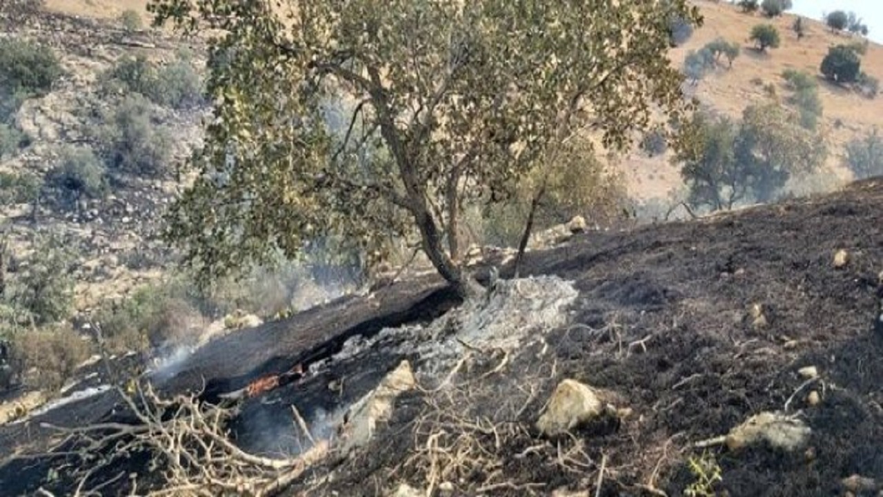 مهار آتش سوزی گسترده در مراتع بخش شهیون دزفول