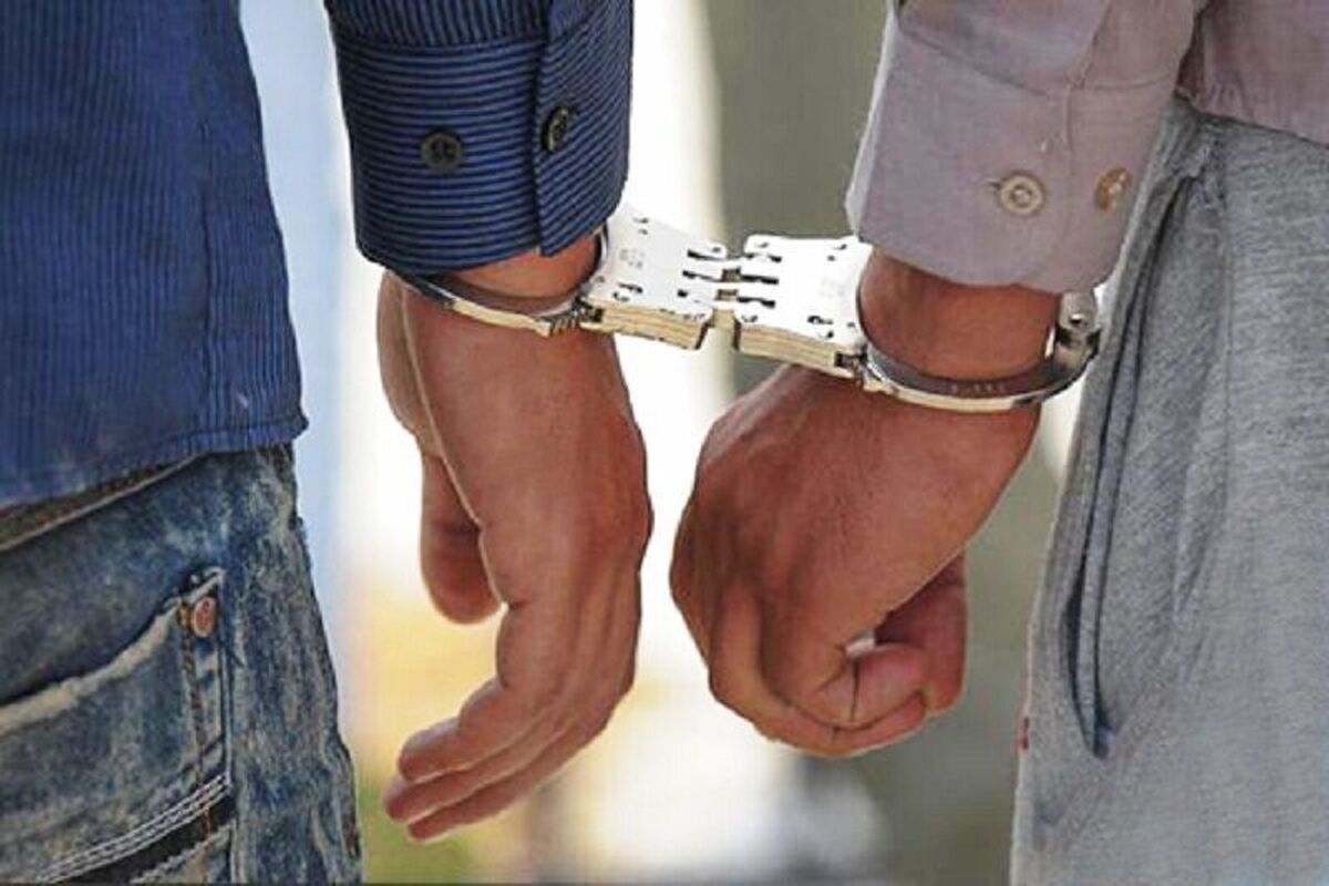 دستگیری دو سارق در فریمان