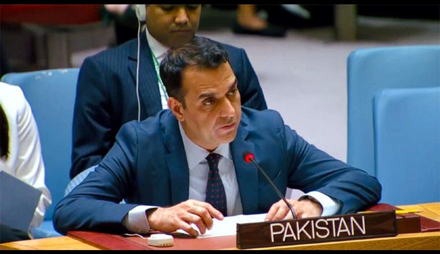 تاسف پاکستان از عملی نشدن قطعنامه‌های شورای امنیت درباره فلسطین