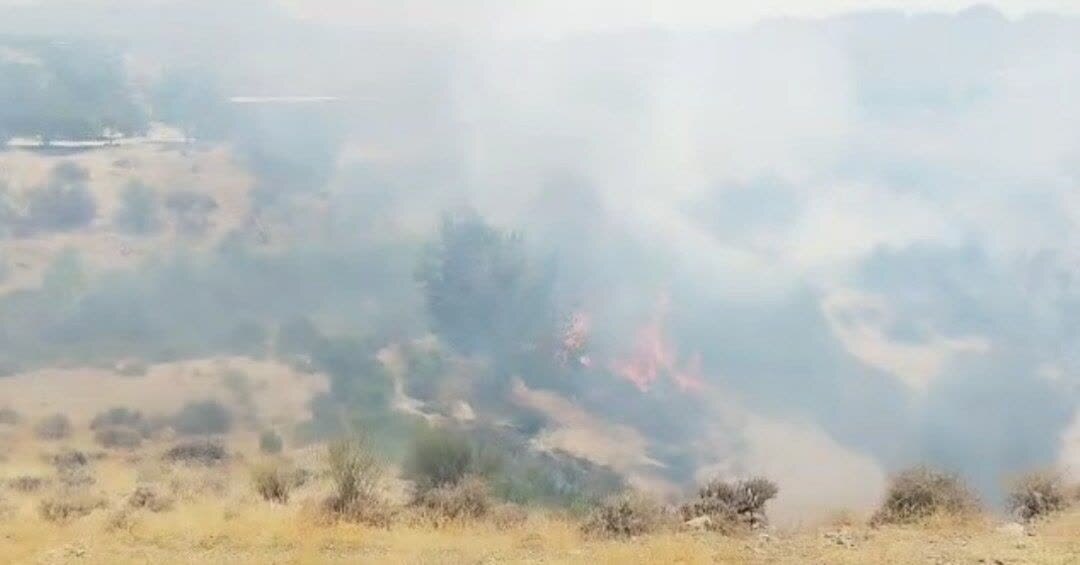 آتش سوزی در ۵ هکتار از اراضی  جنگلی جبالبارزجیرفت