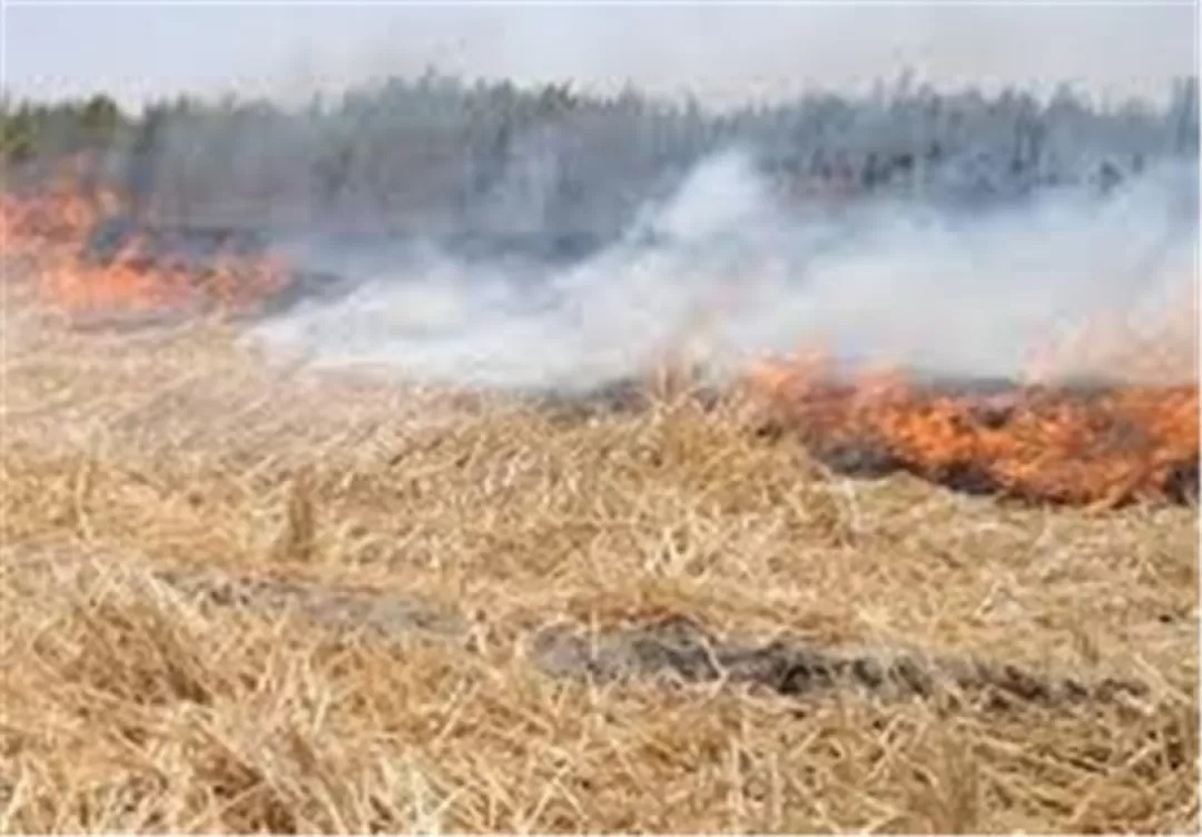 حبس و جزای نقدی مجازات آتش‌زدن بقایای مزارع