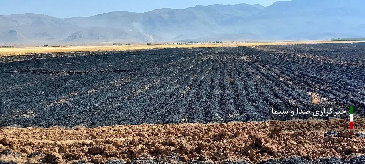 ۱۸ هکتار از مزارع گندم شهرستان اقلید دچار آتش سوزی شد