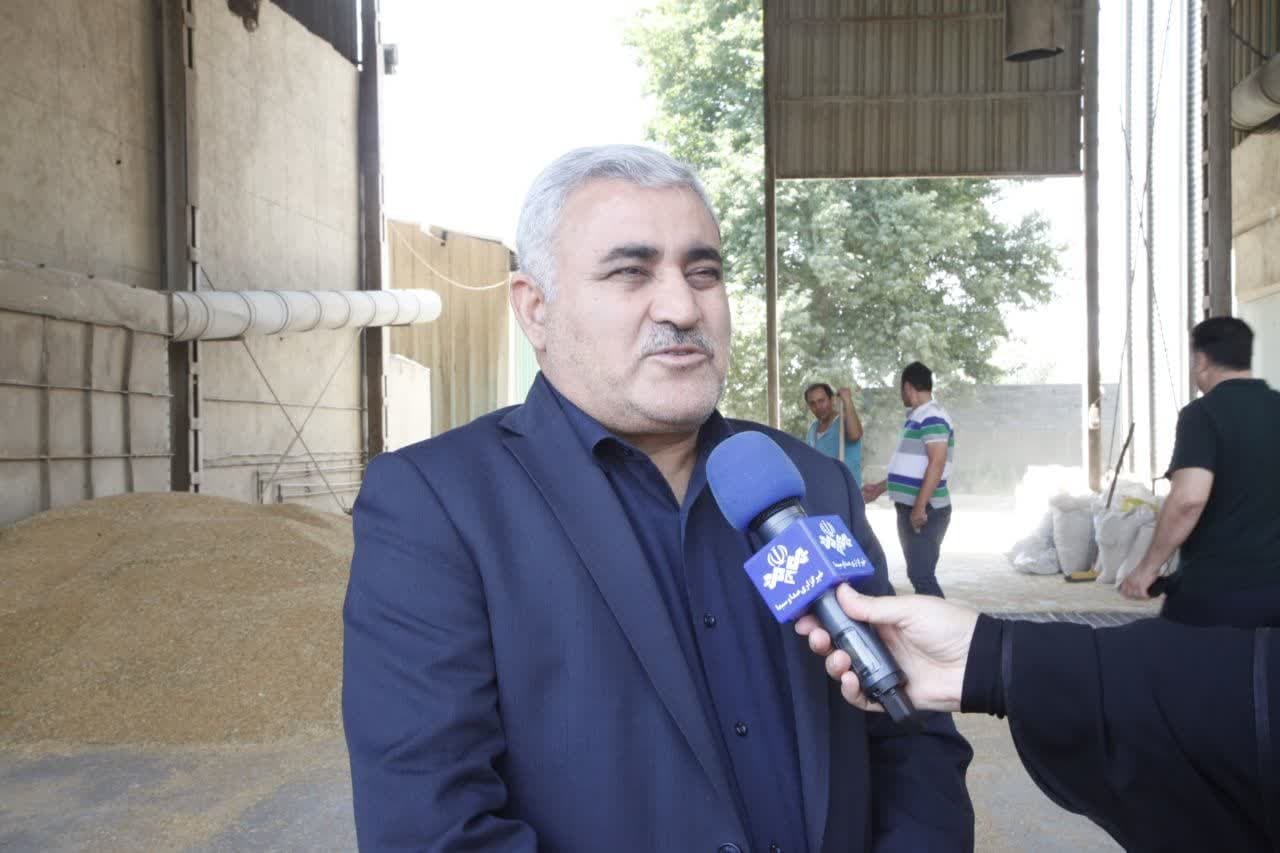 ۳۴۶هزار تن گندم از زارعین آذربایجان غربی خریداری شد