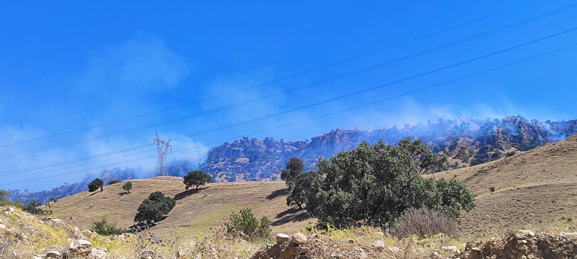 مهار آتش سوزی کوه لار و تداوم آتش سوزی در منطقه شلال دان