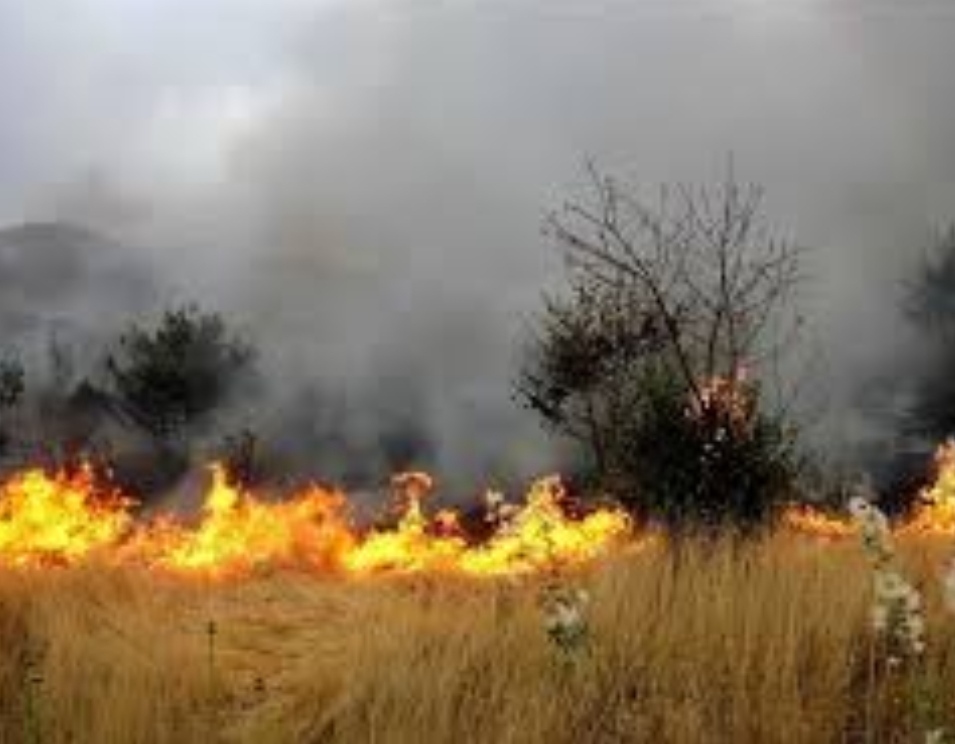 مهار آتش در مناطق شیاکوه و بان سیران شهرستان گیلانغرب پس از ۱۷ ساعت تلاش بی وقفه
