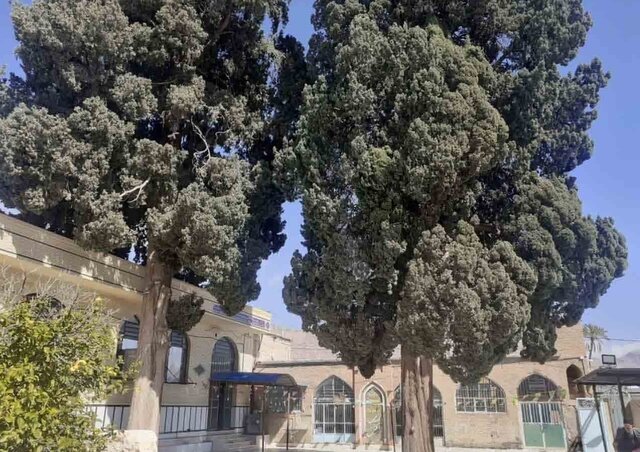 ثبت ملی ۹ درخت کهنسال در فارس