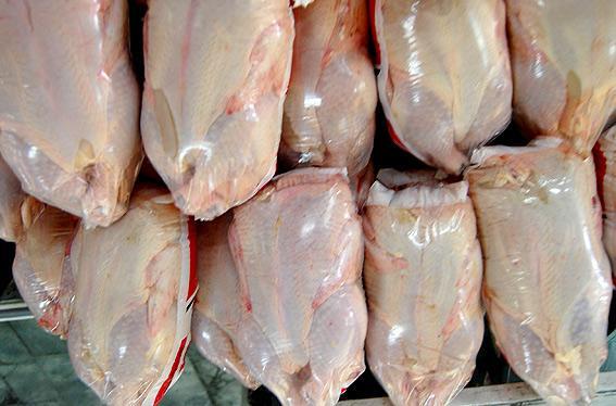 صادرات ۲۵ تن مرغ منجمد تولیدی به عراق
