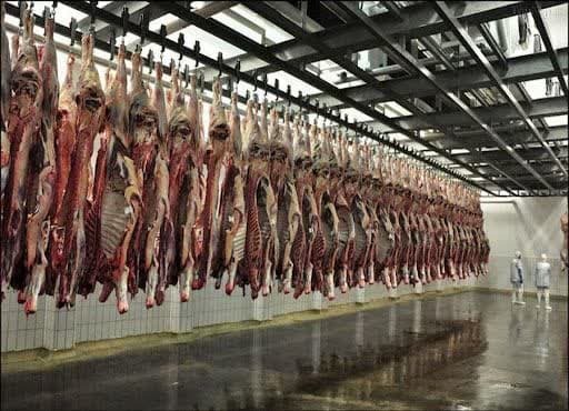 قیمت لاشه گوشت قرمز در یزد چند است؟