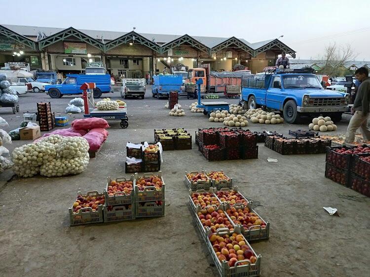 تصمیم گیری برای تعیین قیمت میوه و توزیع مرغ در استان