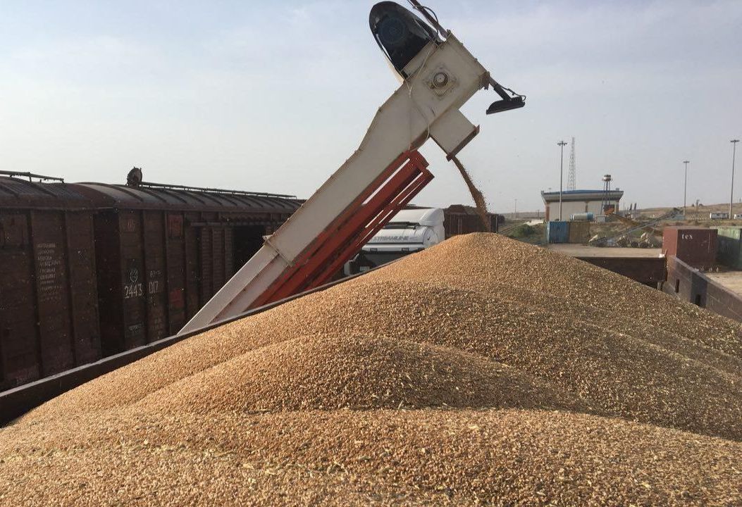 خرید ۵۳ هزار تُن گندم از کشاورزان شهرستان پیرانشهر