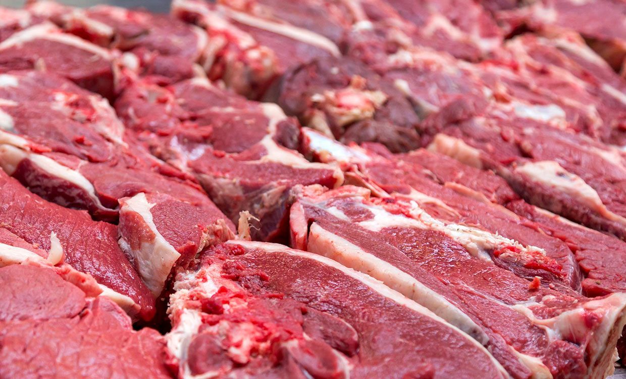 افزایش تولید گوشت قرمز در رشتخوار