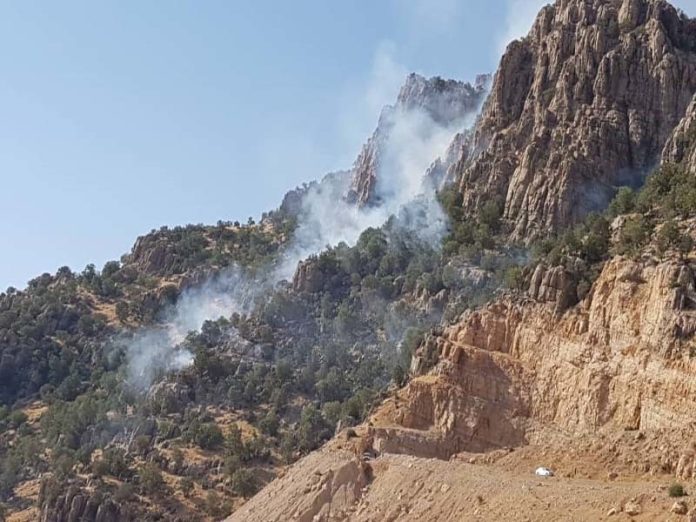 مهار آتش سوزی در ارتفاعات تاراز اندیکا