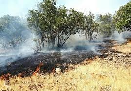 مهار آتش در منابع طبیعی  ثلاث باباجانی