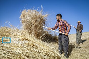 قلم دوربین/۱۳ مرداد ۱۴۰۳/خبری