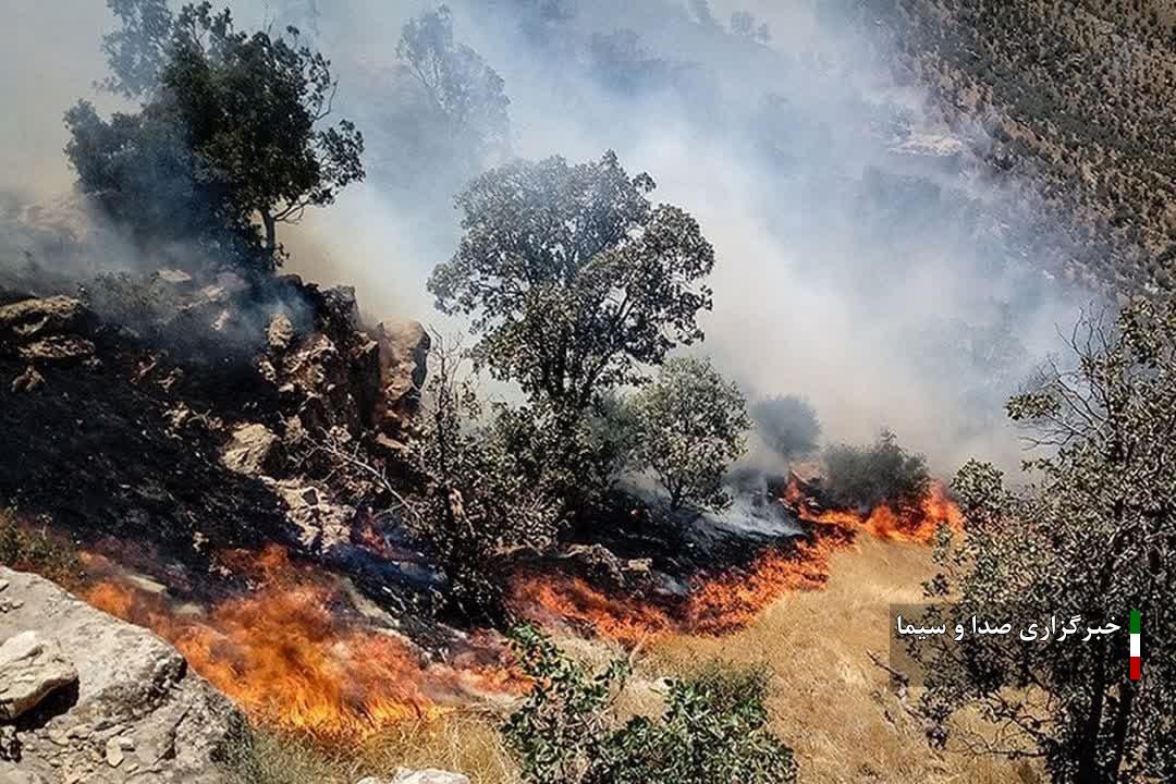 آتش‌سوزی جنگل‌ها