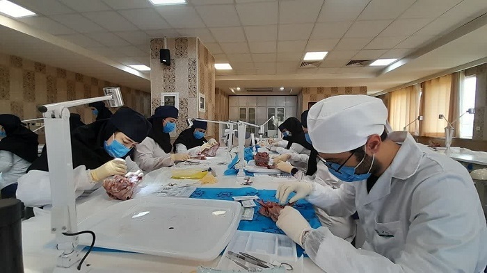 برپایی مدرسه تابستانه در دانشکده دندانپزشکی مشهد با حضور ۲۱۶ دانشجوی کشور