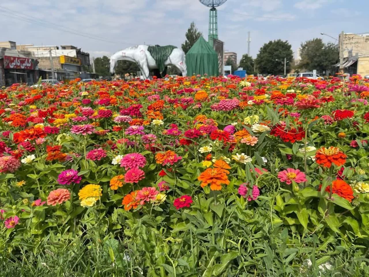 کاشت بیش از ۳ میلیون بوته گل در سطح شهر ارومیه