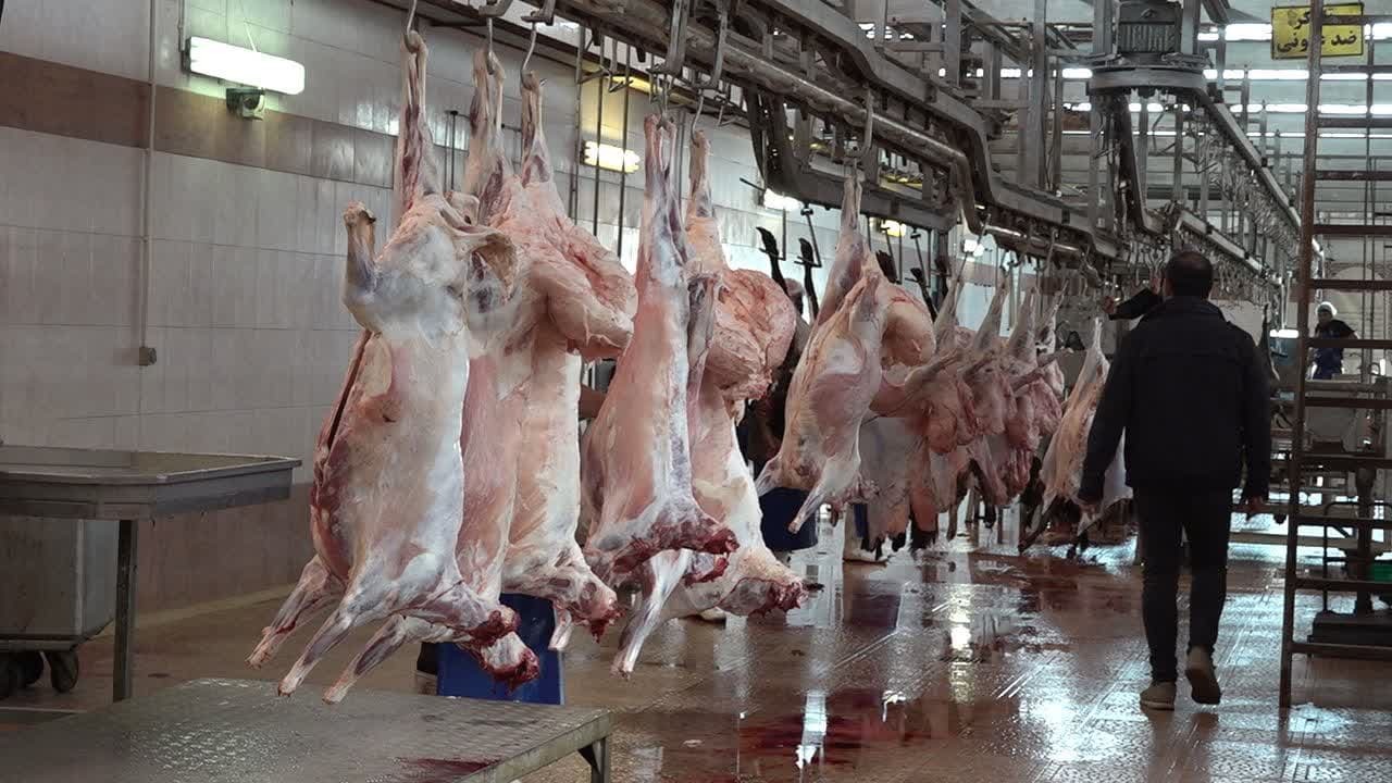 آذربایجان‌غربی قطب تولید گوشت قرمز در کشور 