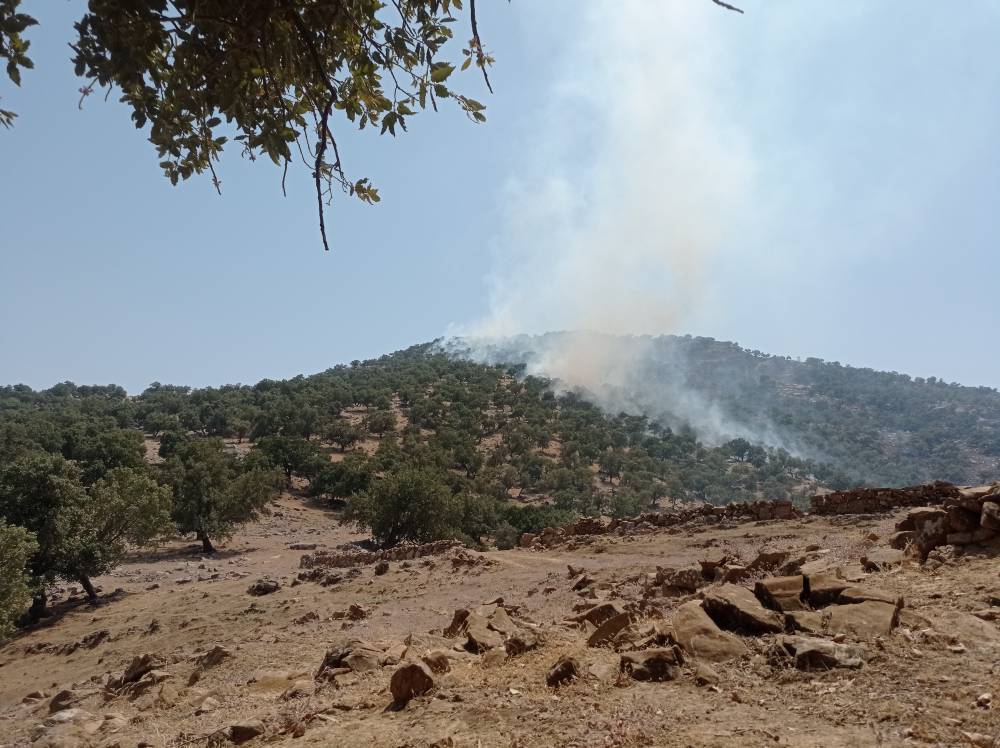 دستگیری عامل آتش سوزی در منطقه حفاظت شده شیمبار اندیکا