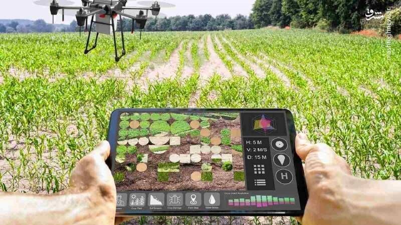 هوش مصنوعی راهبردی در جهت افزایش بهره وری کشاورزی