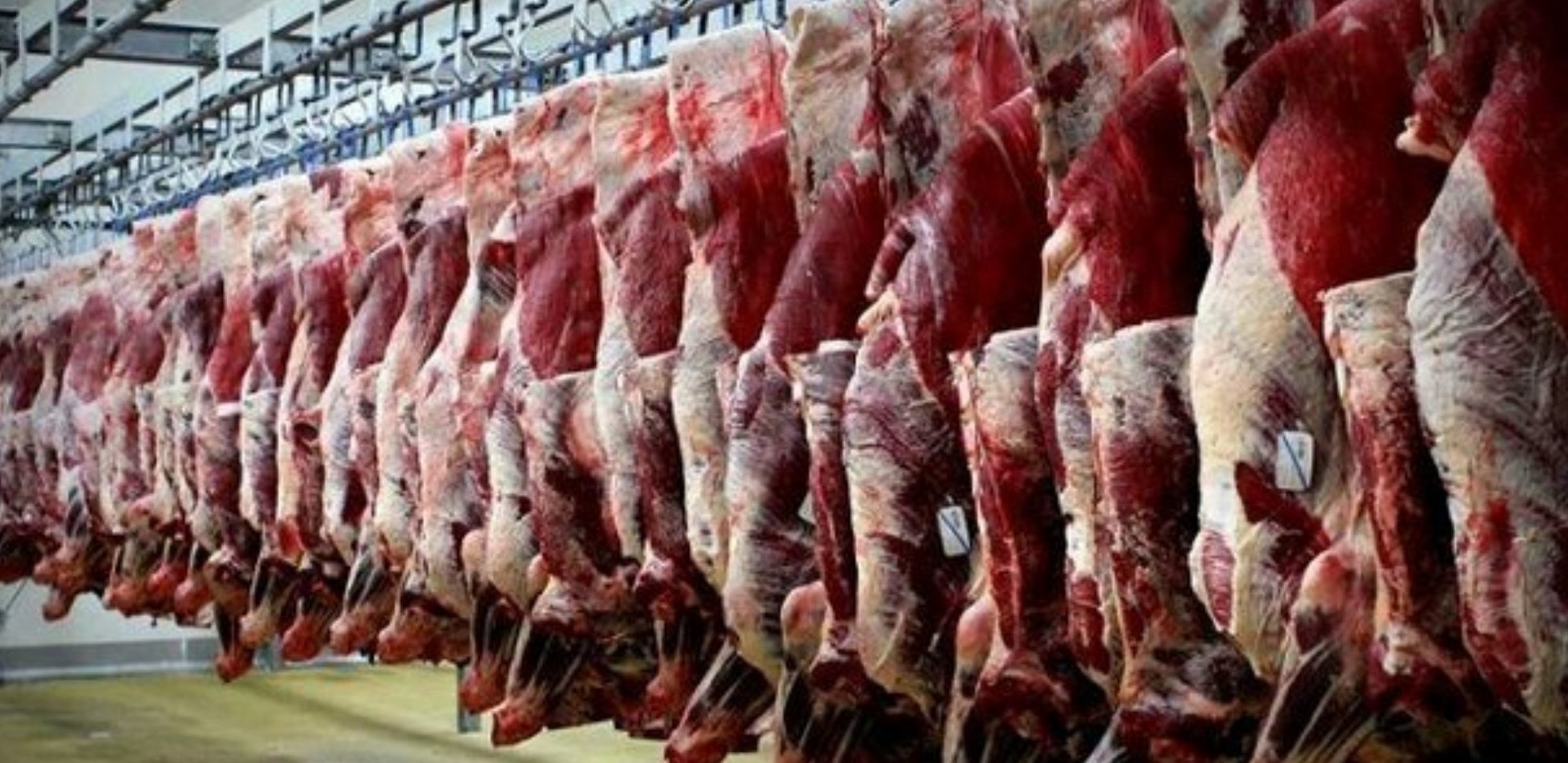 رتبه چهارم آذربایجان‌غربی در تولید گوشت قرمز در کشور