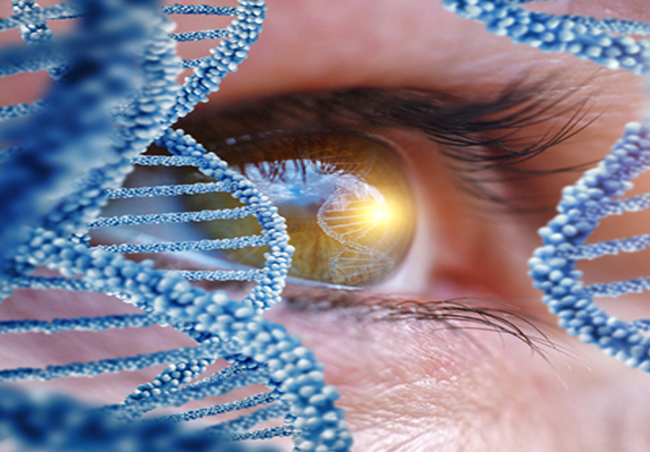 موفقیت محققان ایرانی در راستای ژن درمانی و پیشگیری از نابینایی مبتلایان به عارضه ارثی شبکیه