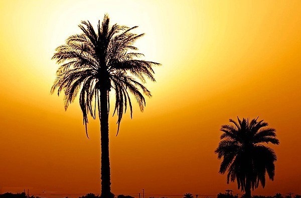 آبادان رکوردار گرم ترین شهر خوزستان