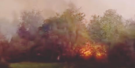 آتش سوزی در بخشی از مراتع پارک ملی کرخه
