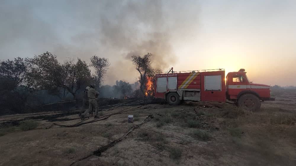 مهار آتش سوزی در پارک ملی کرخه