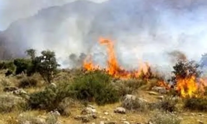 مهار دو حادثه آتش سوزی در مراتع شهرستان دزفول