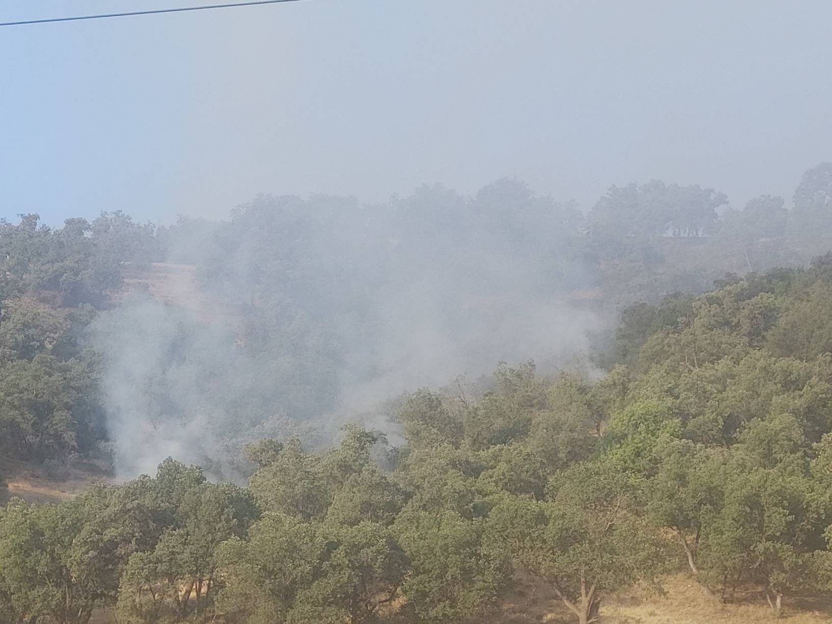 آتش سوزی مراتع و جنگلهای دره گلی شهرستان بویراحمد
