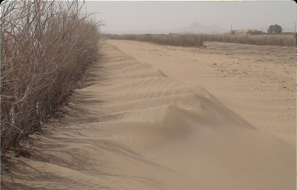 کاهش اثرات پدیده گردو غبار با اقدامات مقابله با بیابان زایی در خراسان جنوبی