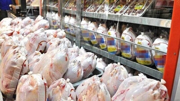 استحصال حدود ٣ هزار تن گوشت مرغ در قوچان