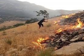 جنگلهای فتح در آتش می سوزد