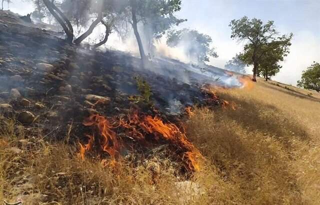 مهار آتش سوزی جنگل‌ها و مراتع شهرستان سروآباد