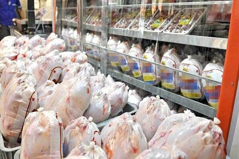 توزیع۵۸۰ تن مرغ منجمد در بازار بوشهر