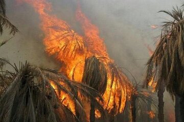 آتش سوزی در باغات روستای پشتکوه بخش شمیل