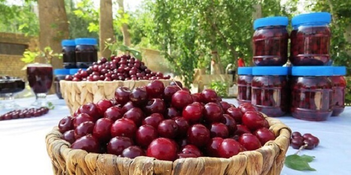 برگزاری جشنواره آلبالو در ملایر 