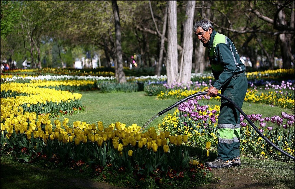 مصرف ماهانه ۴۰۰ هزار متر مکعب آب شرب برای آبیاری فضای سبز شهری در خراسان رضوی