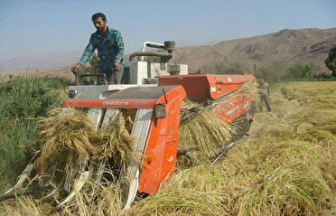 پایگاه خبری نجوا