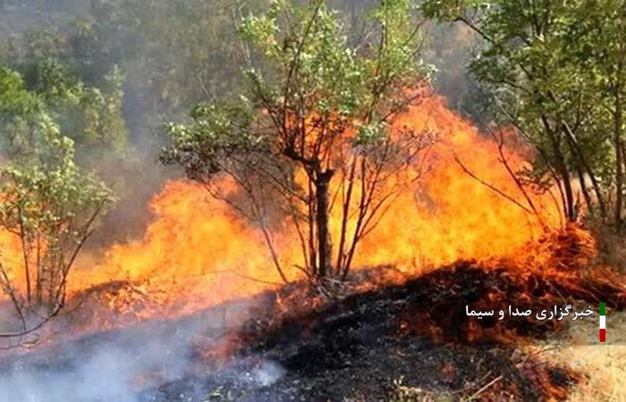 جریمه ۱۱ میلیارد ریالی عامل آتش سوزی جنگل‌های دلفان